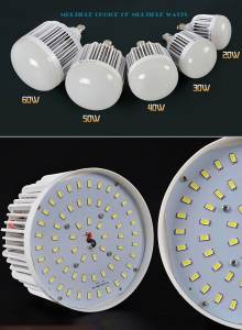 Led Light