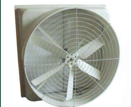 Shutter Fan