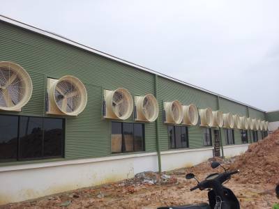 FRP 354 Shutter Fan of Taieasy Garment 1&2