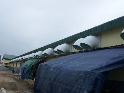 FRP Elbow for LR54-3DS of Eins cambodia factory