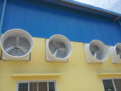 FRP 354 Shutter Fan of Dream Toy Garment