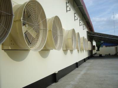 FRP 354 Shutter Fan of Quantum Garment New Factory